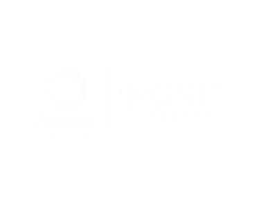 Avanza Capital